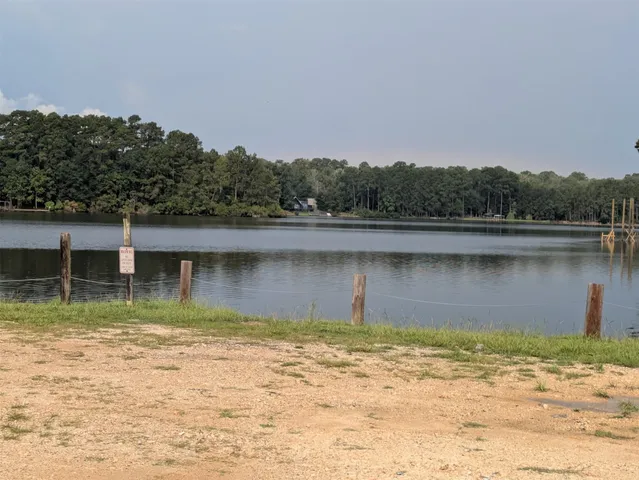 a view of a lake with houses in the background