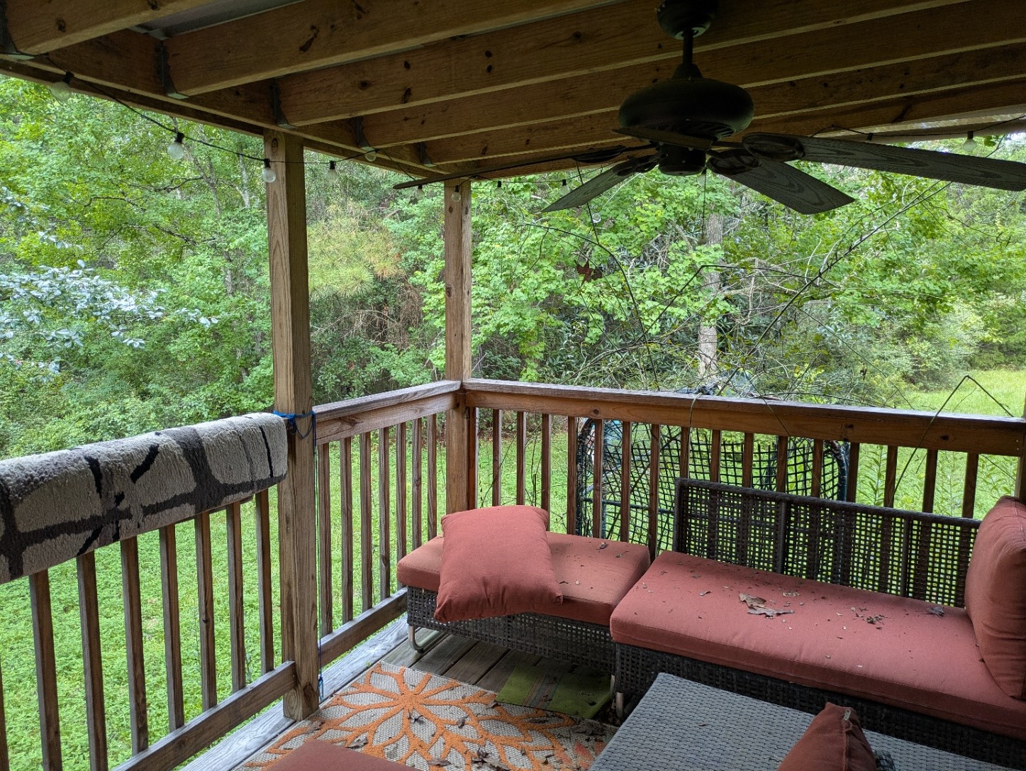 271 Ivanhoe Ranchettes Drive Ivanhoe, TX 75979 - Photo 38 of 40 The porch view from the guest house.