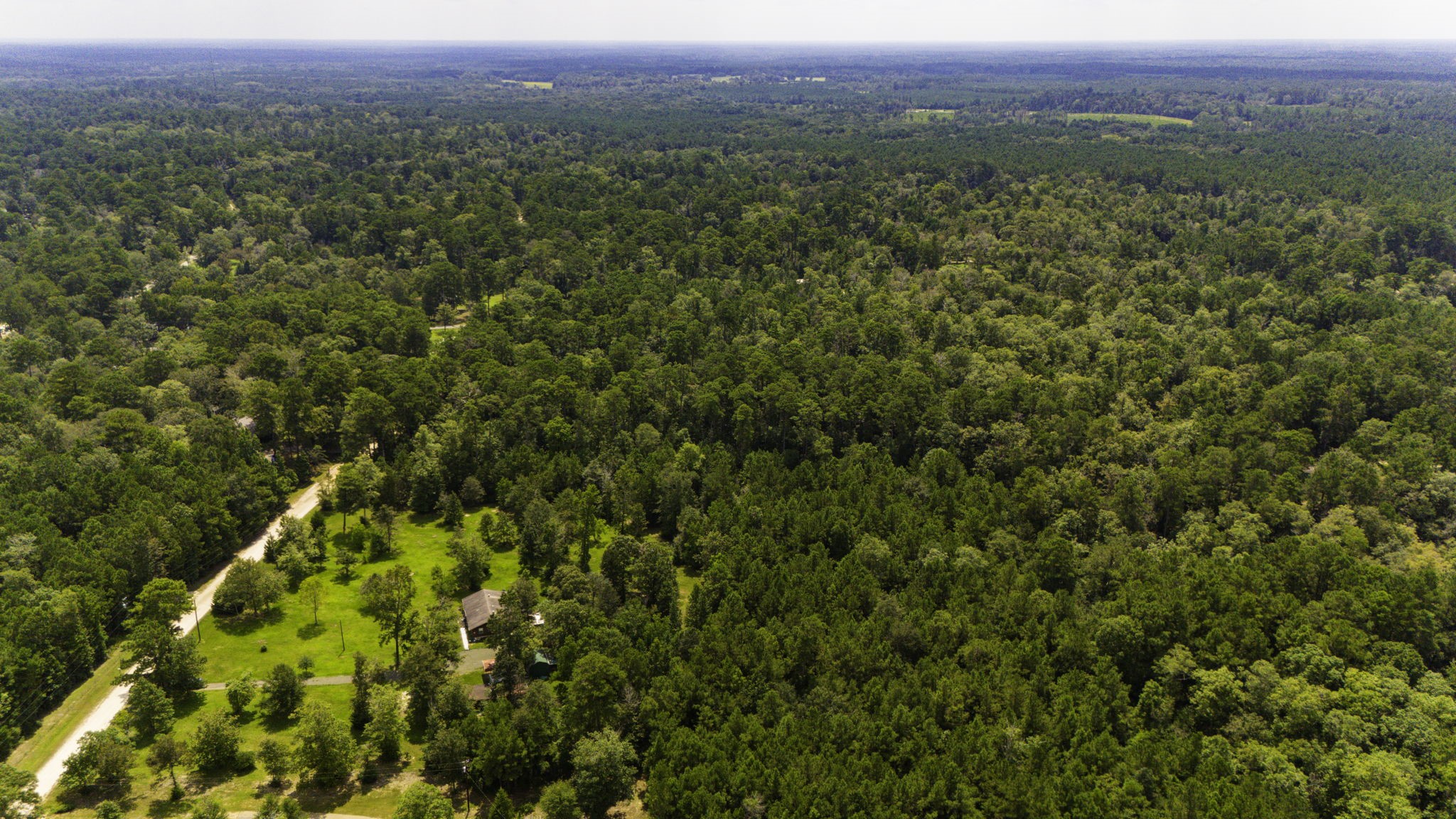 271 Ivanhoe Ranchettes Drive Ivanhoe, TX 75979 - Photo 6 of 40