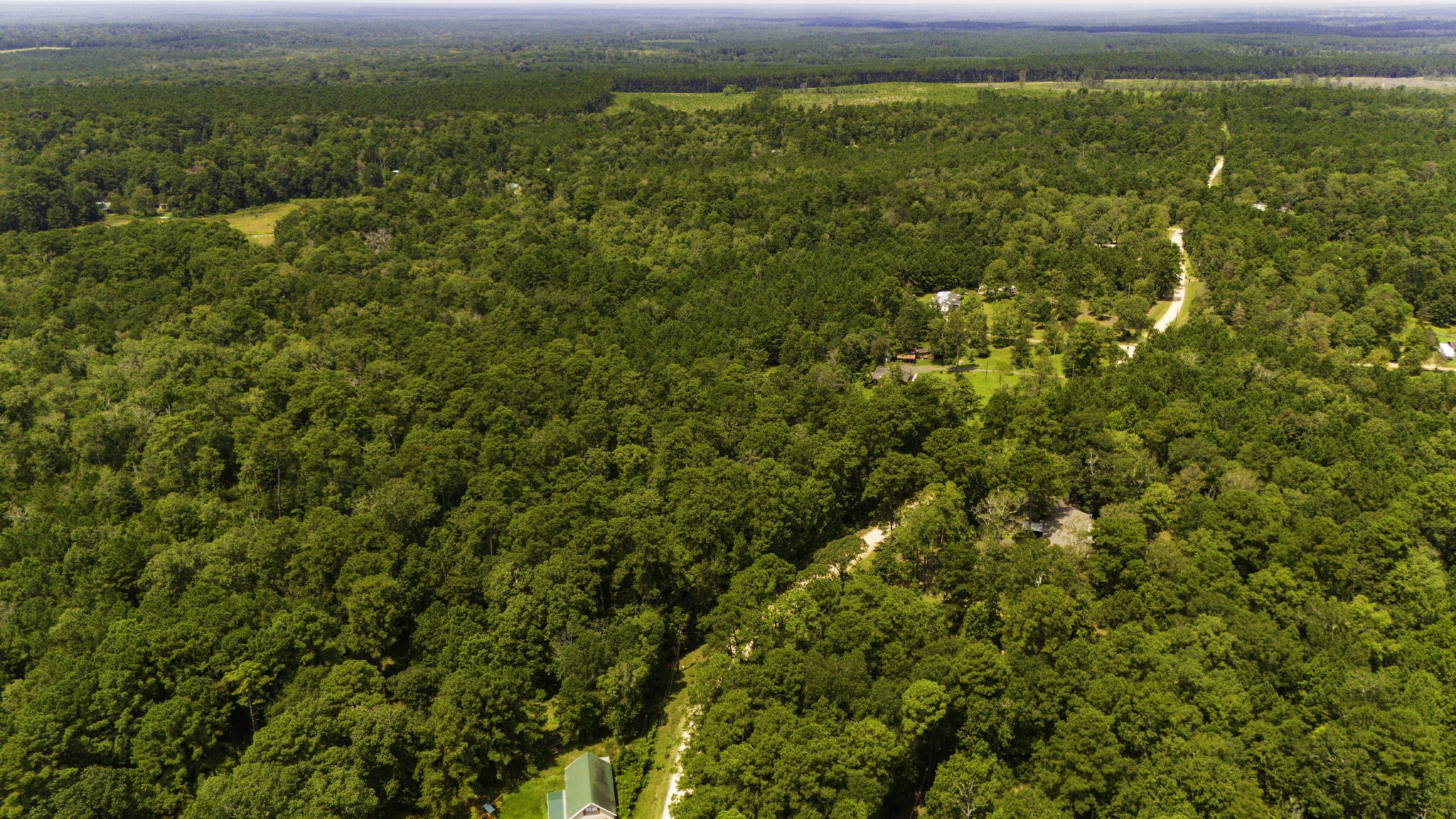 271 Ivanhoe Ranchettes Drive Ivanhoe, TX 75979 - Photo 9 of 40