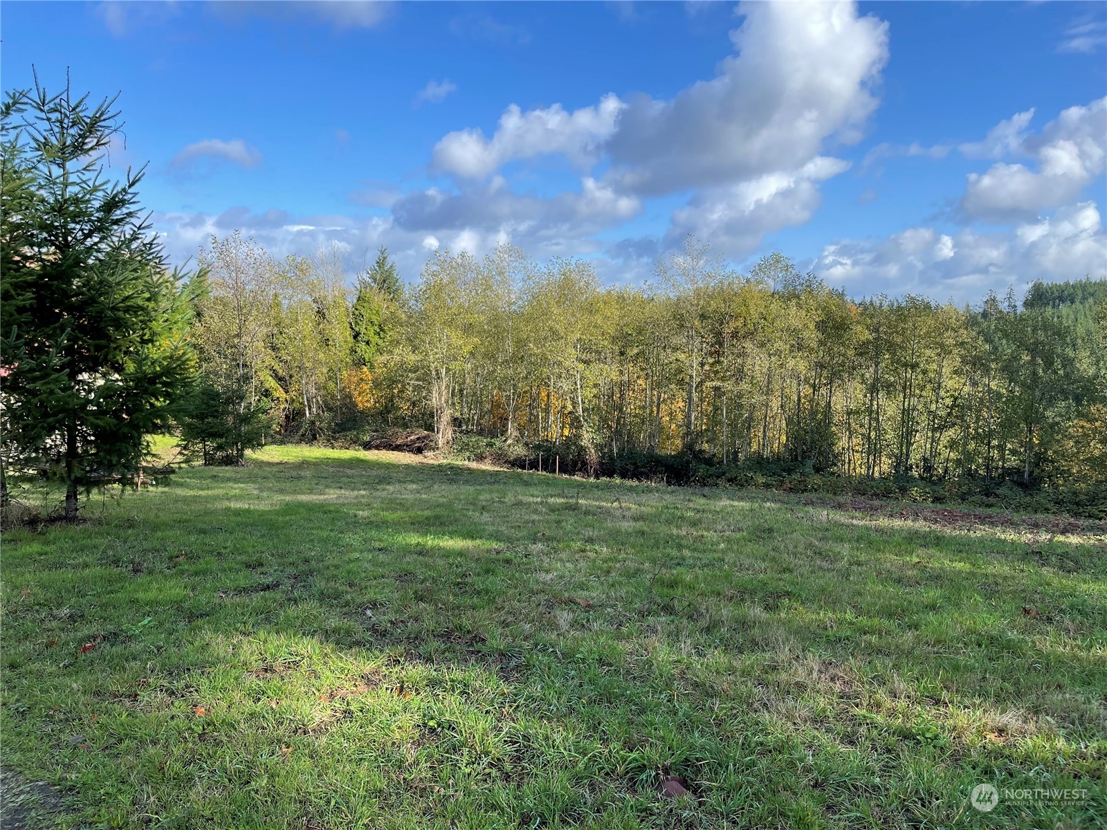 170 Gleason Road Centralia, WA 98531 - Photo 12 of 13 Gallery Image 12