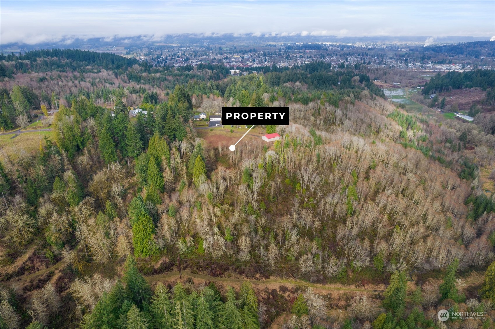 170 Gleason Road Centralia, WA 98531 - Photo 5 of 13 Gallery Image 5