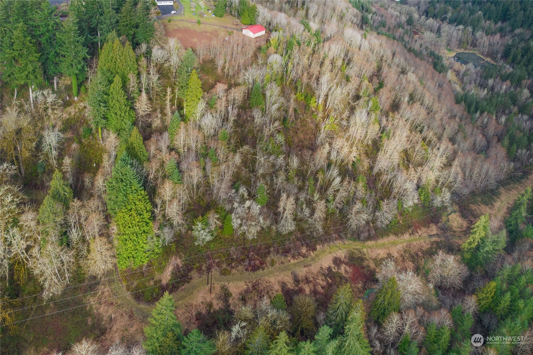 170 Gleason Road Centralia, WA 98531 - Photo 8 of 13 Gallery Image 8