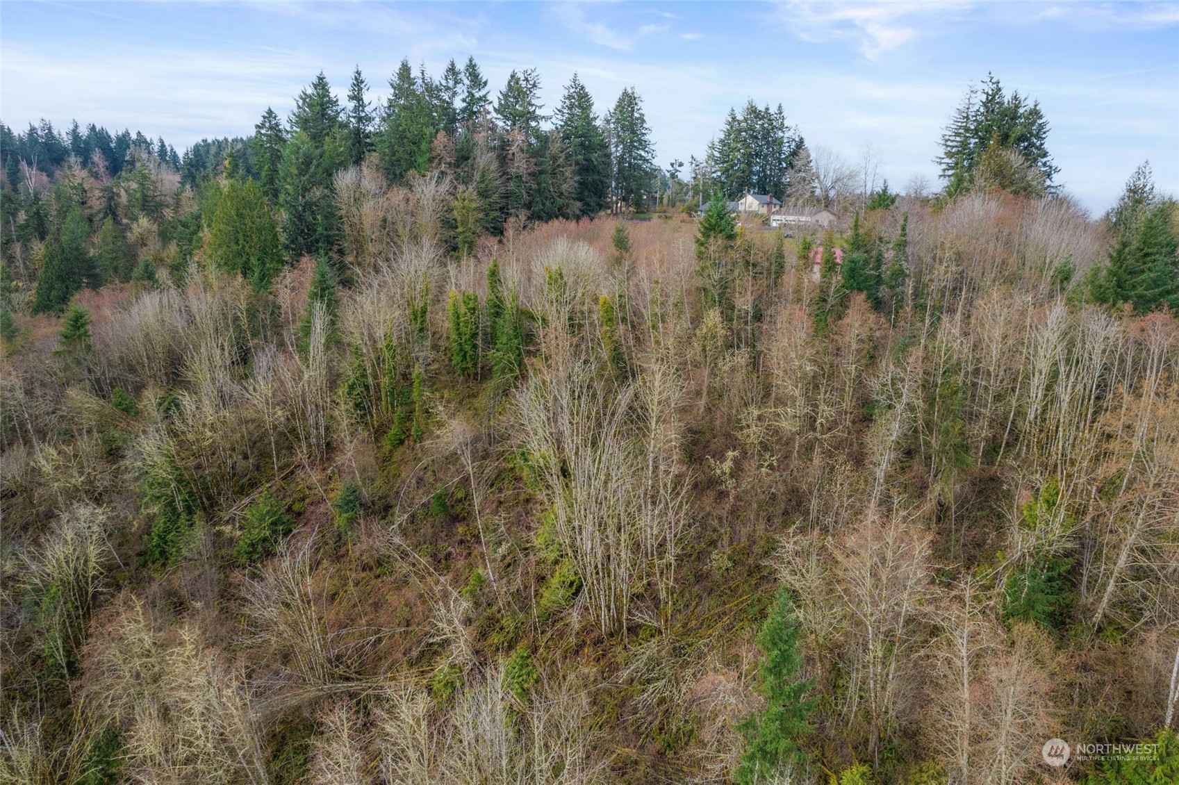 170 Gleason Road Centralia, WA 98531 - Photo 9 of 13 Gallery Image 9