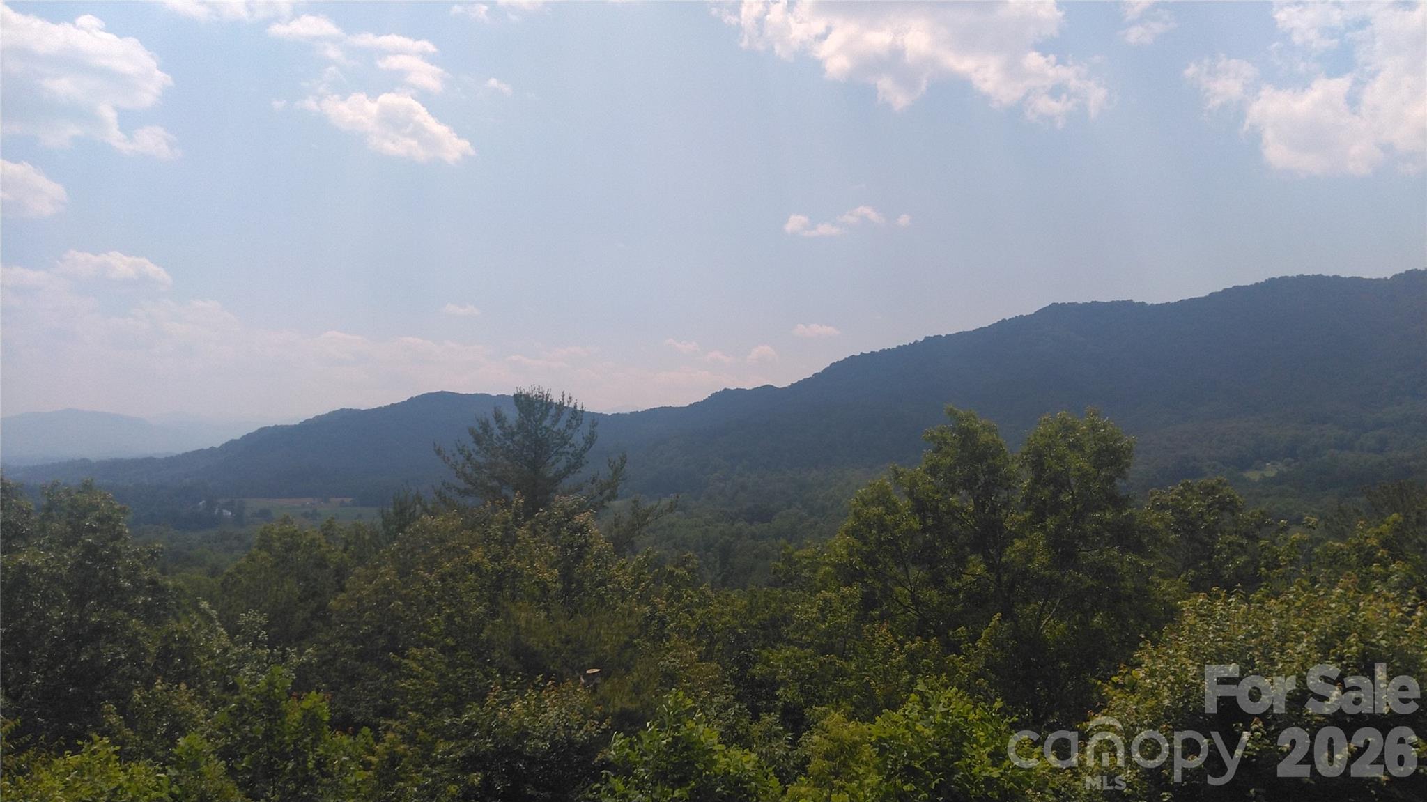 Lot 17 Deer Ridge Trail Marion, NC 28752 - Photo 2 of 8