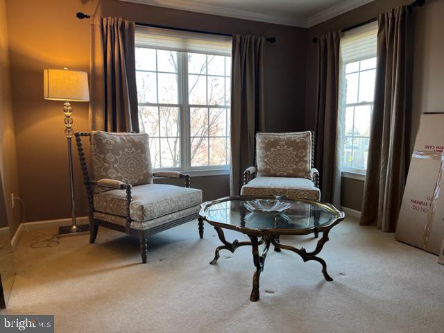 43249 Augustine Place Ashburn, VA 20147 - Photo 27 of 54 Master Bedroom with sitting area