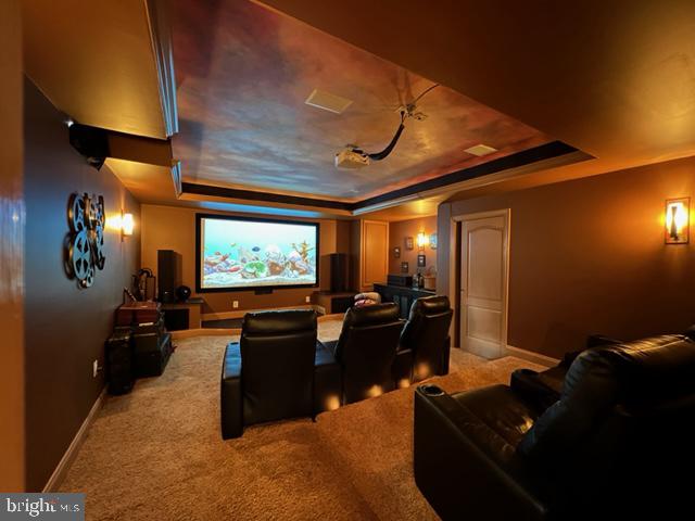 43249 Augustine Place Ashburn, VA 20147 - Photo 54 of 54 Media Room View#2