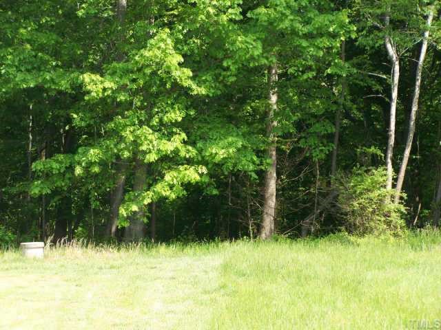 325 Rand Road Raleigh, NC 27603 - Photo 3 of 6 a view of backyard with green space