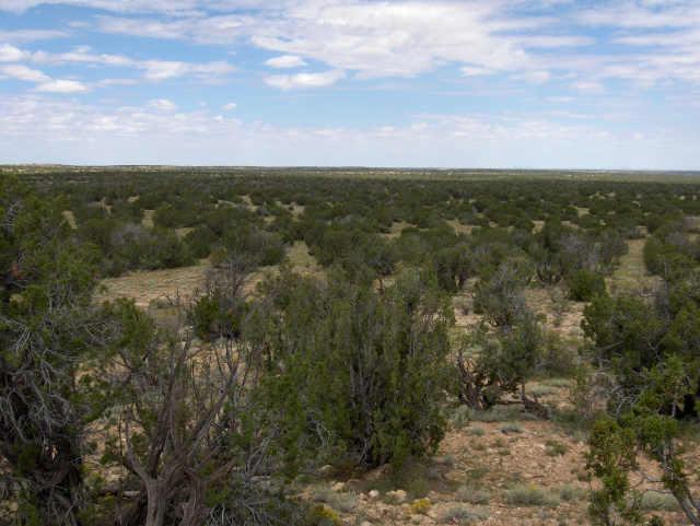 712 Chevelon Canyon Ranch, Unit 712 Overgaard, AZ 85933 - Photo 1 of 1 Primary Photo