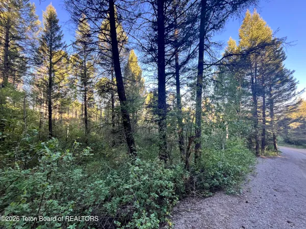 $97,000 | 1-l 46 Spruce Drive, Star Valley Ranch, WY 83127