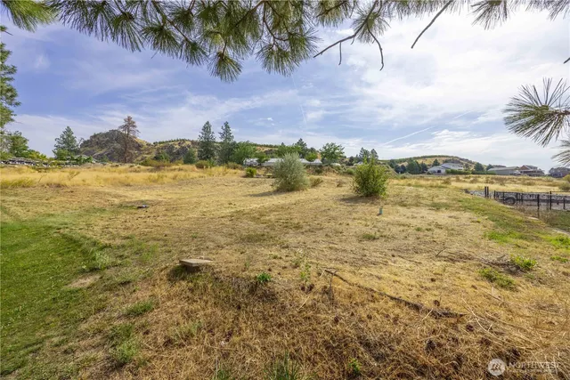 a backyard of a house with lots of green space