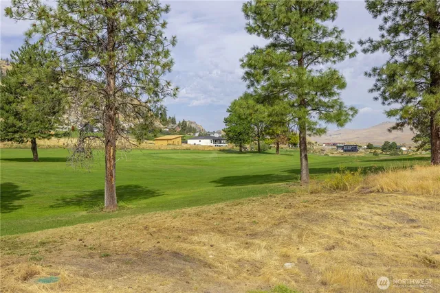 a view of a park with tree s