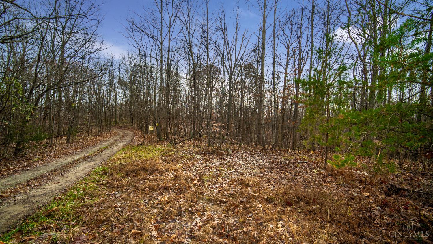 435 Bruemmer Road Manchester, OH 45144 - Photo 9 of 9 Gallery Image 9