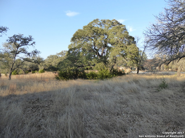 73 Ranch Point Fair Oaks Ranch, TX 78015 - Photo 1 of 1