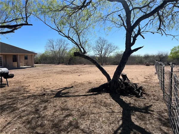 a view of backyard of house
