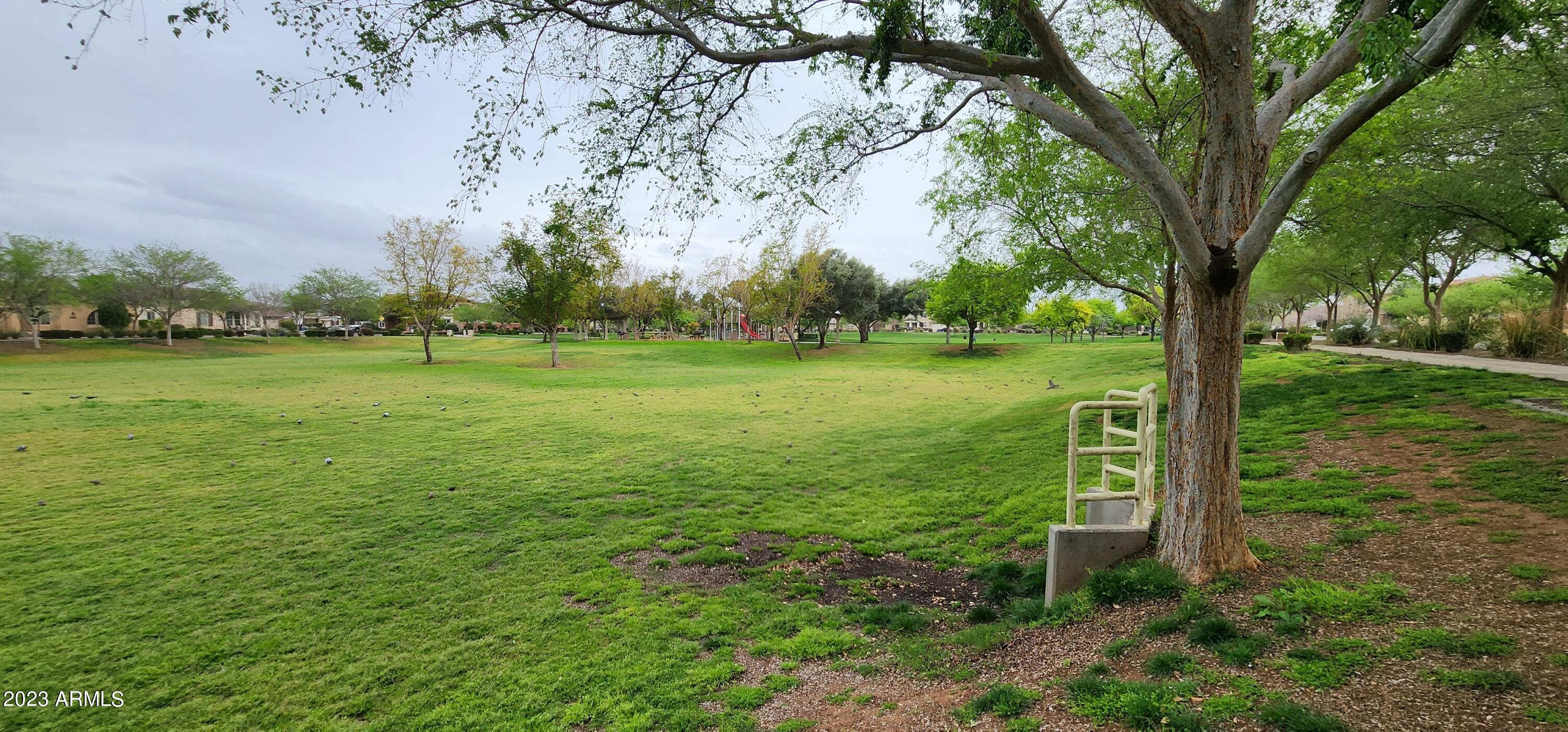 15358 West Wethersfield Road Surprise, AZ 85379 - Photo 49 of 51 Community Park