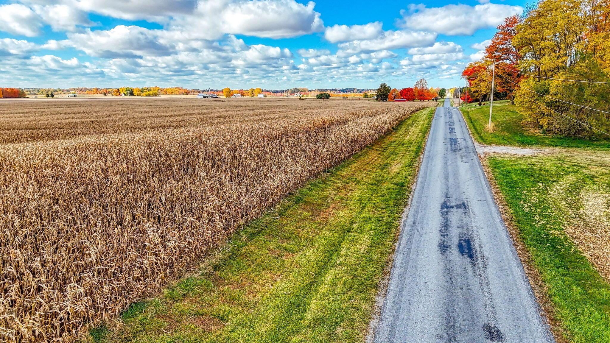 12659 School Lane Rd (15)