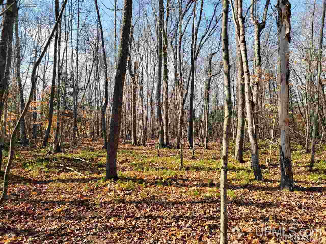 7014 West Co Road Manistique, MI 49854 - Photo 22 of 25
