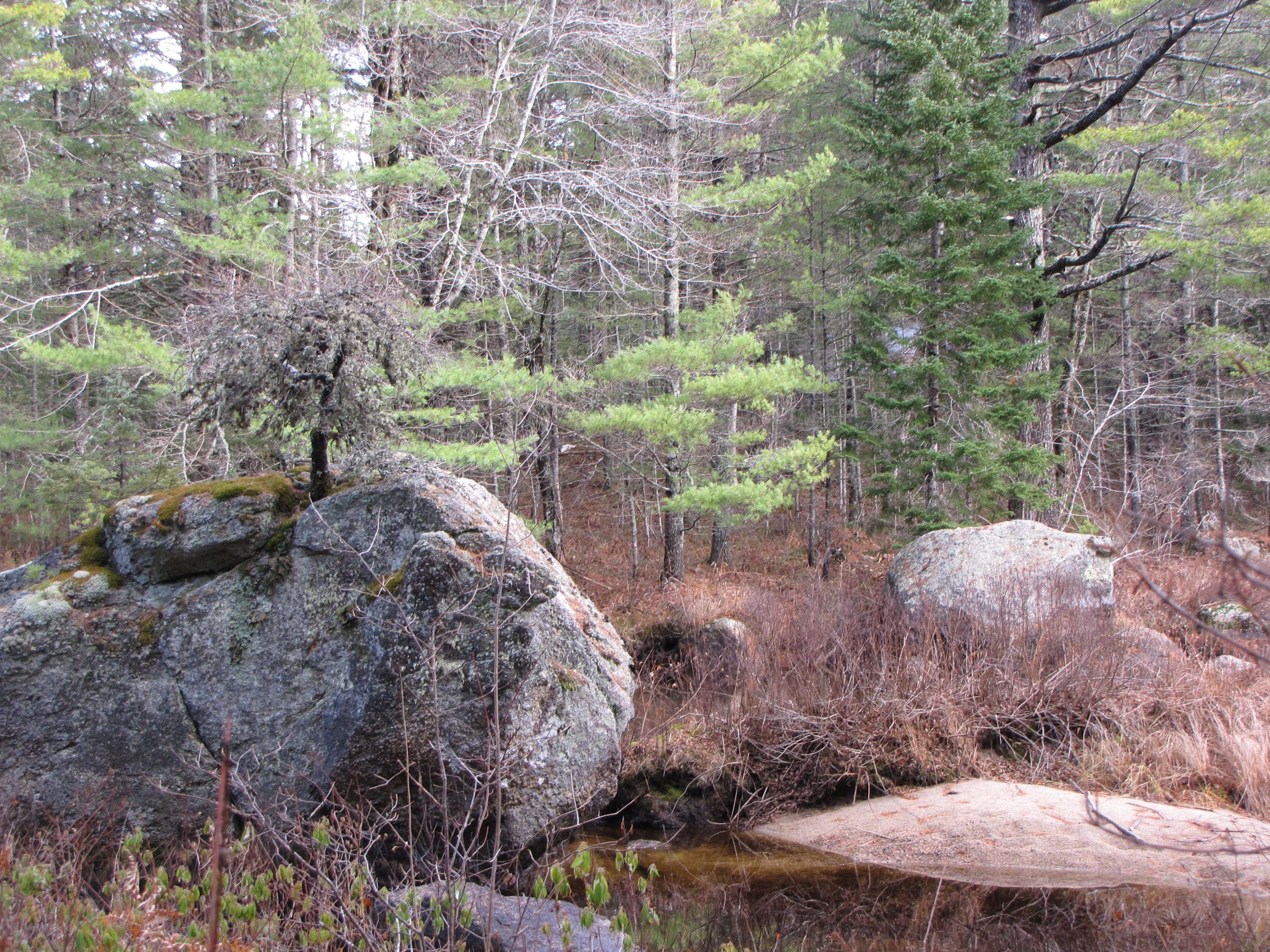 X X Off Ccc Road Machias, ME 04654 - Photo 20 of 57 IMG_1620