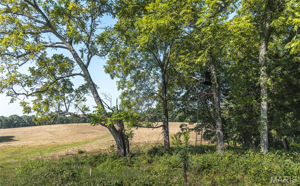 6 Private Drive Ava, MO 65608 - Photo 11 of 11