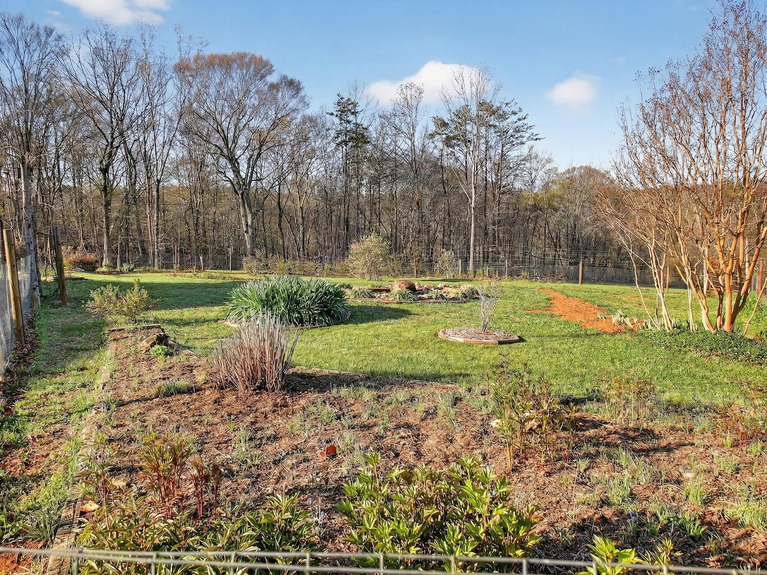 498 Meeks Road Penhook, VA 24137 - Photo 68 of 74 a view of a park with large trees