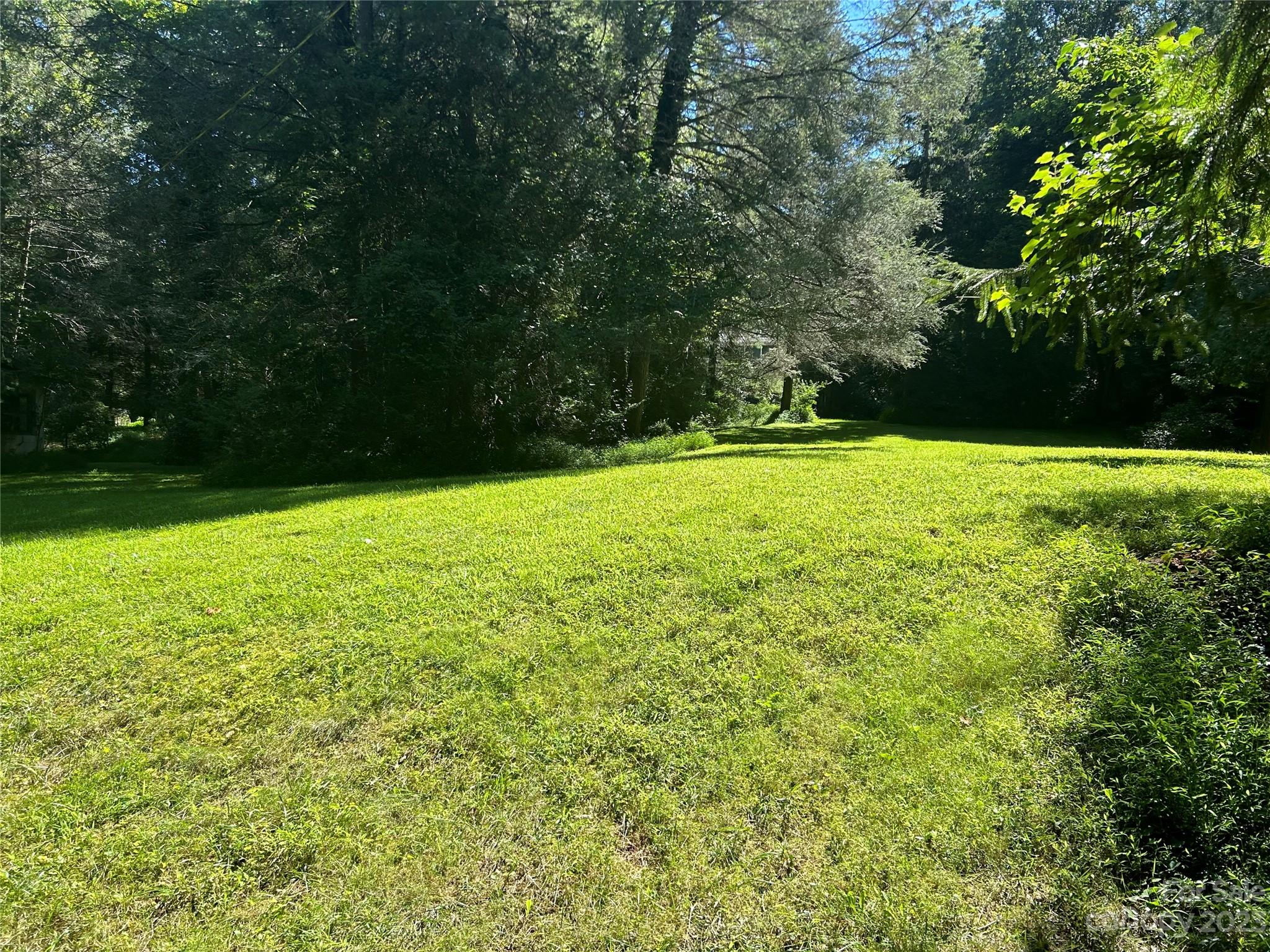 313 Vanderbilt Road Asheville, NC 28803 - Photo 4 of 20 Gallery Image 4
