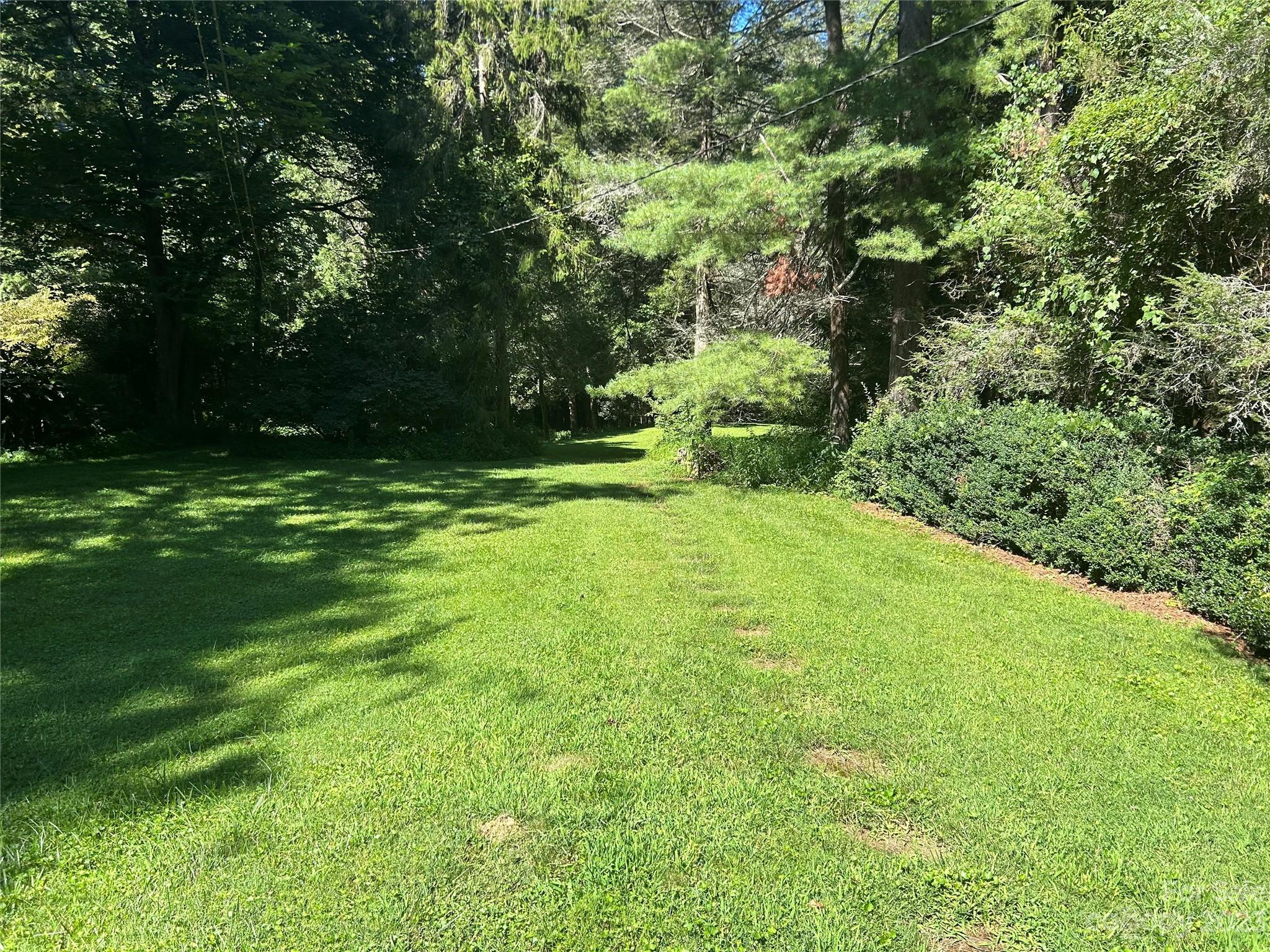 313 Vanderbilt Road Asheville, NC 28803 - Photo 5 of 20 Gallery Image 5