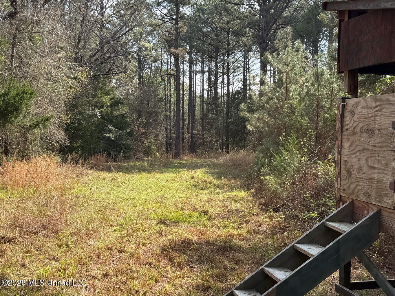 2893 Truesdale Road Carthage, MS 39051 - Photo 19 of 23 Leake 33-36