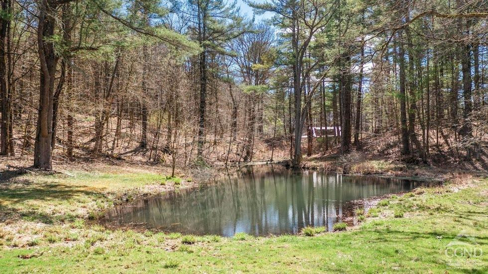 167 Dunbar Road Claverack, NY 12534 - Photo 33 of 37 a view of lake