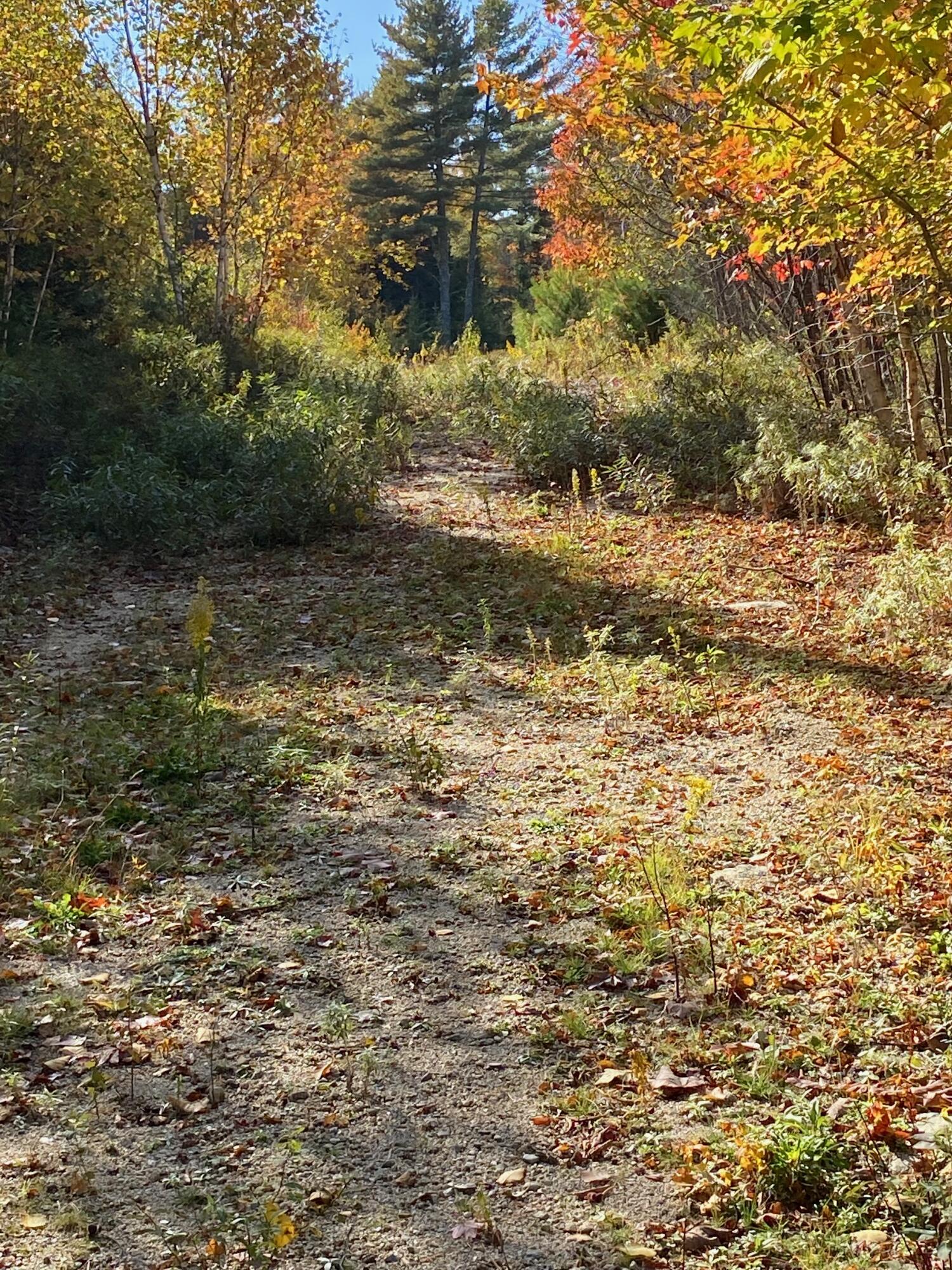 0 South Bay Road Franklin, ME 04634 - Photo 5 of 15 IMG_0417