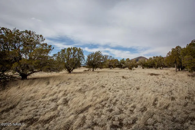 $275,000 | 13165 Cloud Way, Flagstaff, AZ 86004