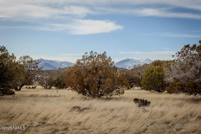 $275,000 | 13165 Cloud Way, Flagstaff, AZ 86004