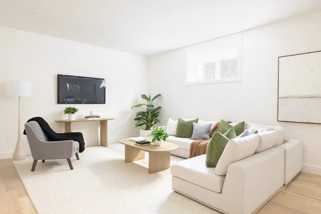 a living room with furniture and a potted plant