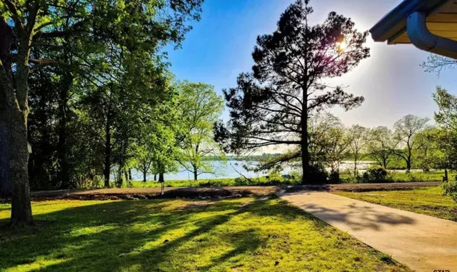 a view of yard with swimming pool and trees