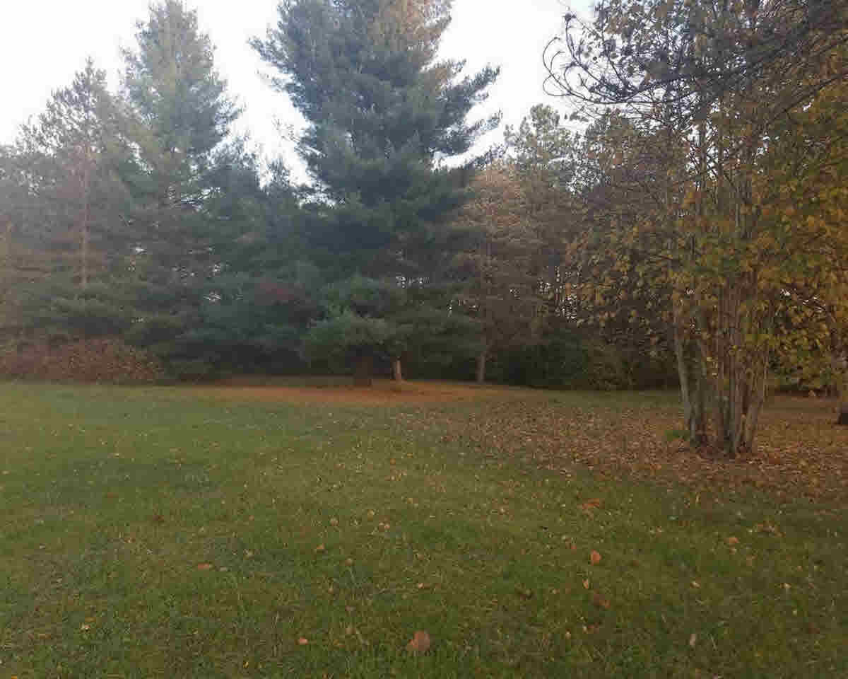 8453 Vassar Road Millington, MI 48746 - Photo 7 of 18 21231100-6.JPG