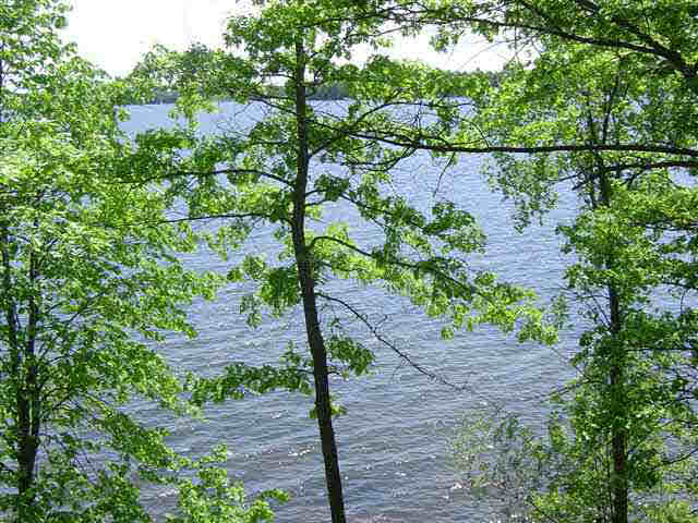 37726 Sunrise View Road Sturgeon Lake, MN 55783 - Photo 4 of 11 Gallery Image 4