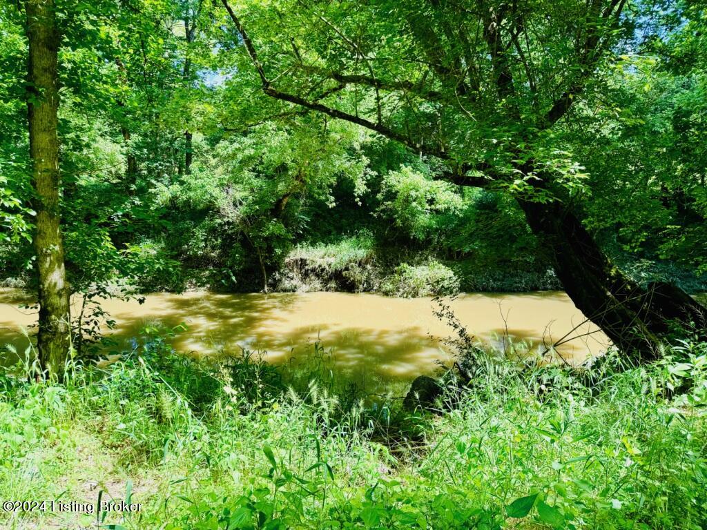 901 Haydon Bros Road Springfield, KY 40069 - Photo 2 of 14 River Frontage