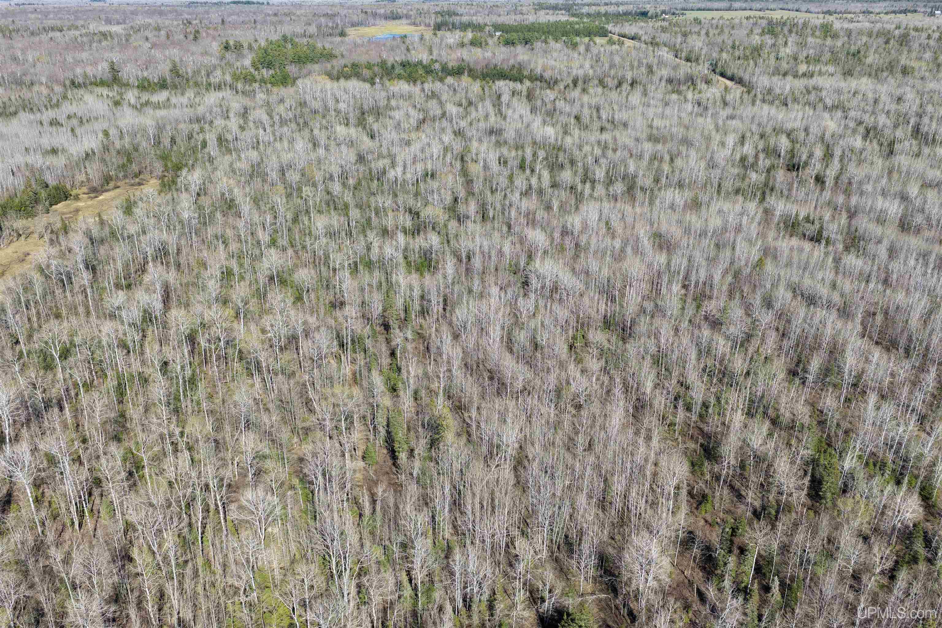 Tbd Tbd Burma Road Ewen, MI 49925 - Photo 11 of 18