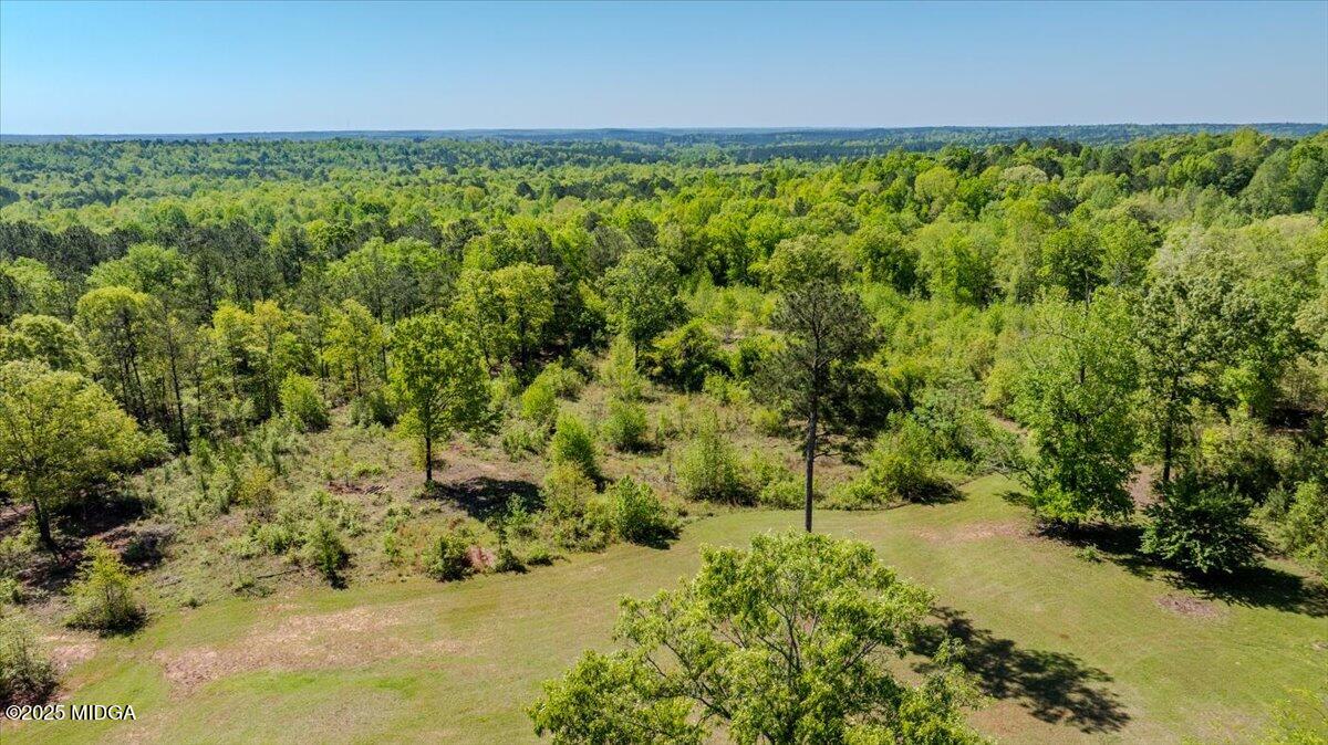 409 Sgoda Road Macon, GA 31217 - Photo 42 of 57 03-DJI_0327