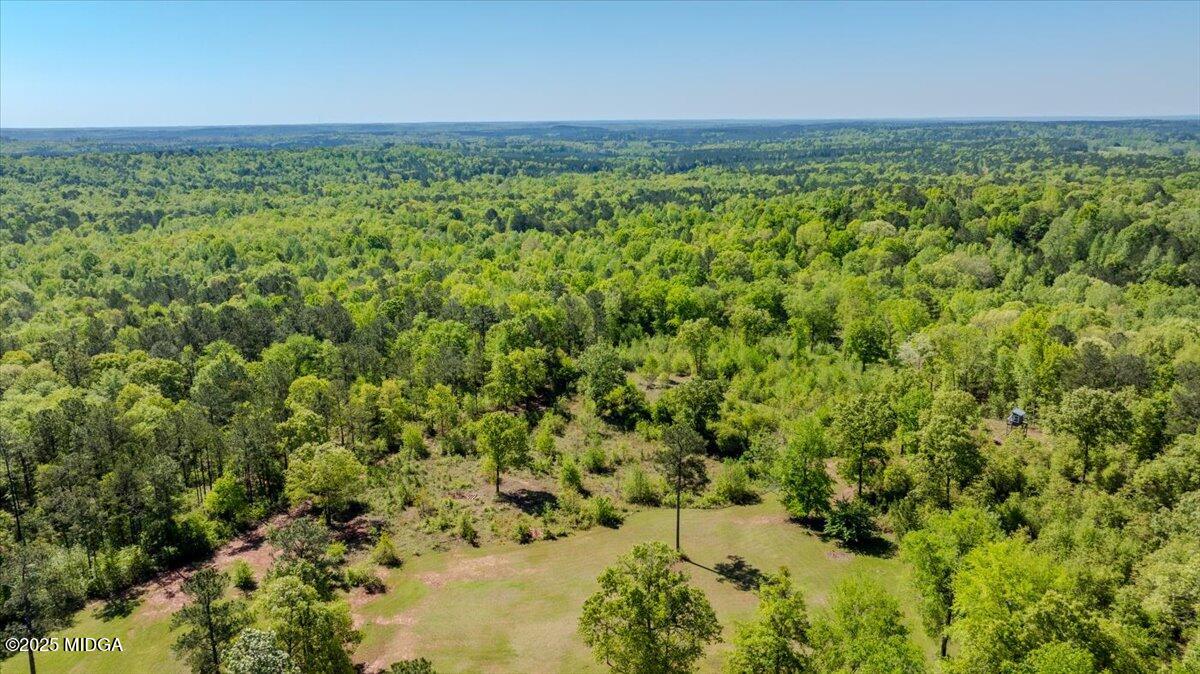 409 Sgoda Road Macon, GA 31217 - Photo 43 of 57 04-DJI_0329