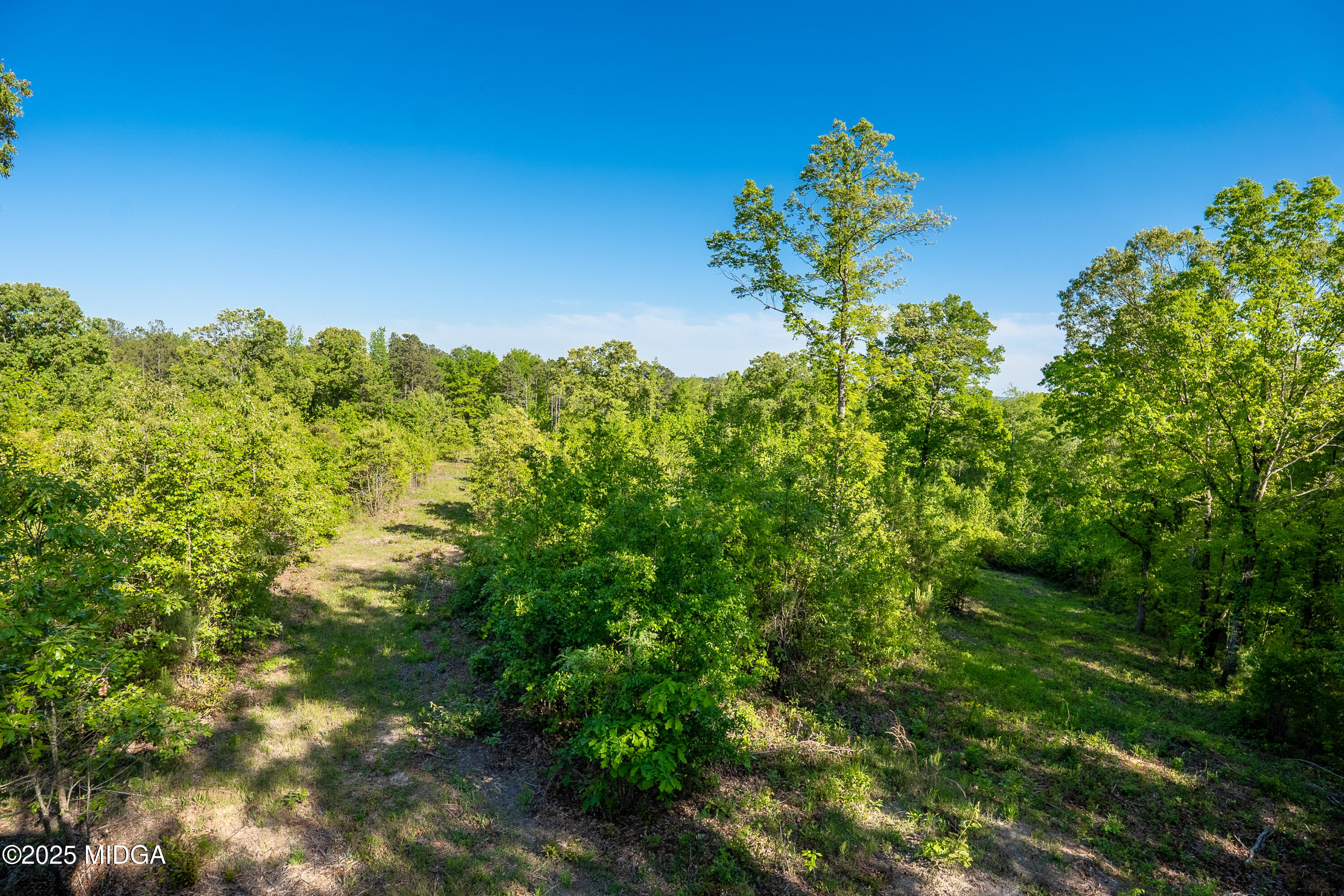 409 Sgoda Road Macon, GA 31217 - Photo 48 of 57 DSC07075-HDR