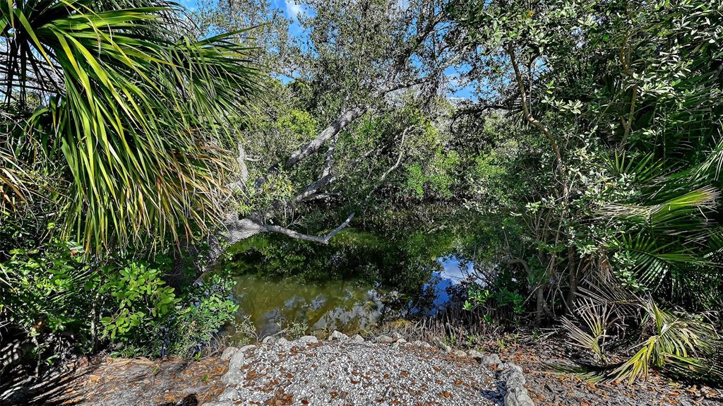 7221 Plovers Way Sarasota, FL 34242 - Photo 60 of 100 a backyard of a house with lots of green space