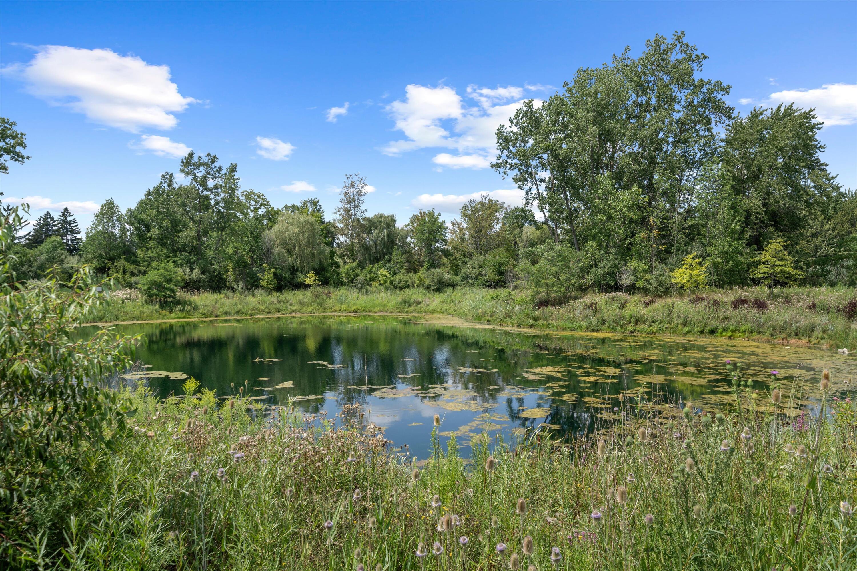 48894 Windfall Road, Unit 1 Novi, MI 48374 - Photo 47 of 52 69-DSC02385