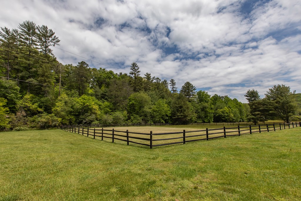 328 Black Ankle Creek Road Cherry Log, GA 30522 - Photo 5 of 103 a view of a green field with wooden fence