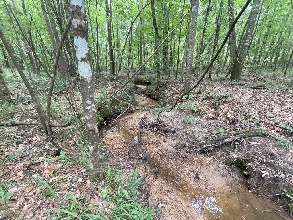 0 Antioch Road Hazlehurst, MS 39083 - Photo 12 of 20 Photo 12