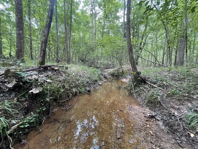 $68,250 | 0 Antioch Road, Hazlehurst, MS 39083