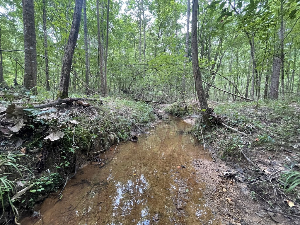 0 Antioch Road Hazlehurst, MS 39083 - Photo 13 of 20 Photo 13