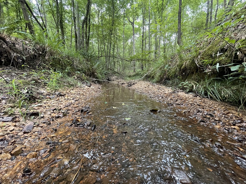 0 Antioch Road Hazlehurst, MS 39083 - Photo 15 of 20 Photo 15