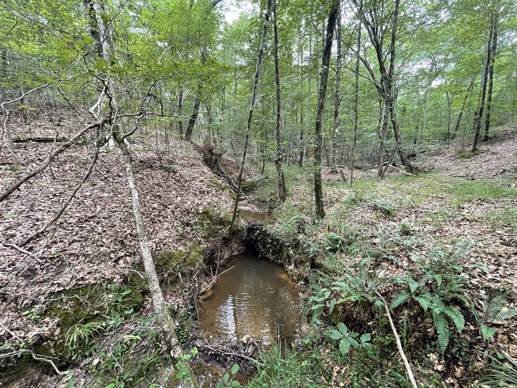 0 Antioch Road Hazlehurst, MS 39083 - Photo 3 of 20 Photo 3