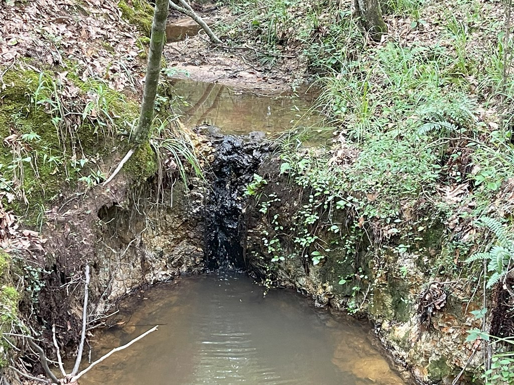 0 Antioch Road Hazlehurst, MS 39083 - Photo 4 of 20 Photo 4